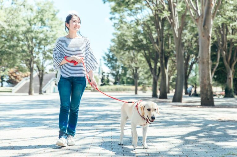 公園を散歩する犬と飼い主
