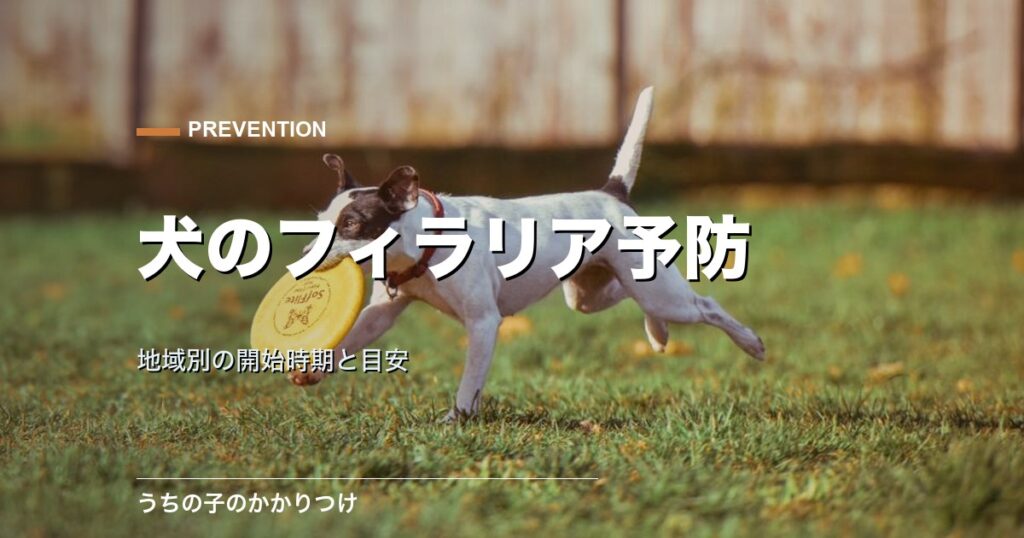 草の上の犬
