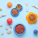 小動物用のペットフードと食器