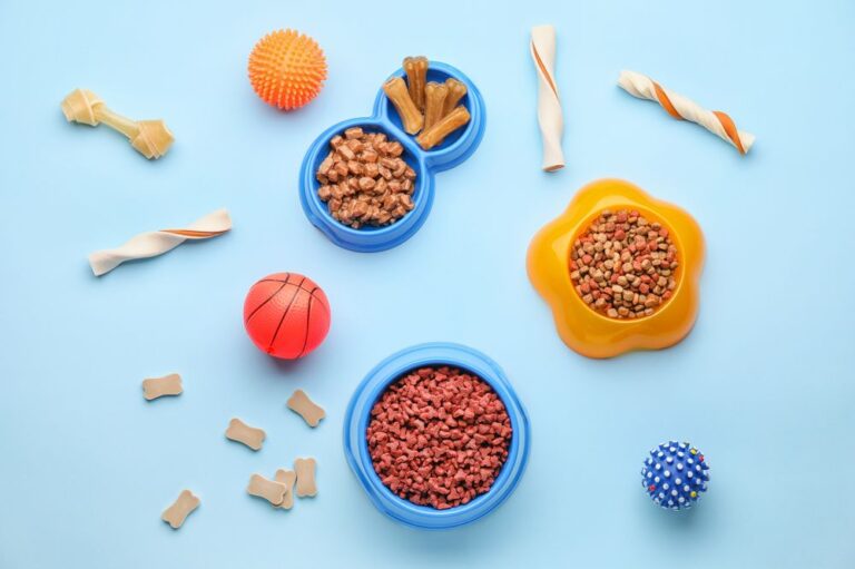小動物用のペットフードと食器