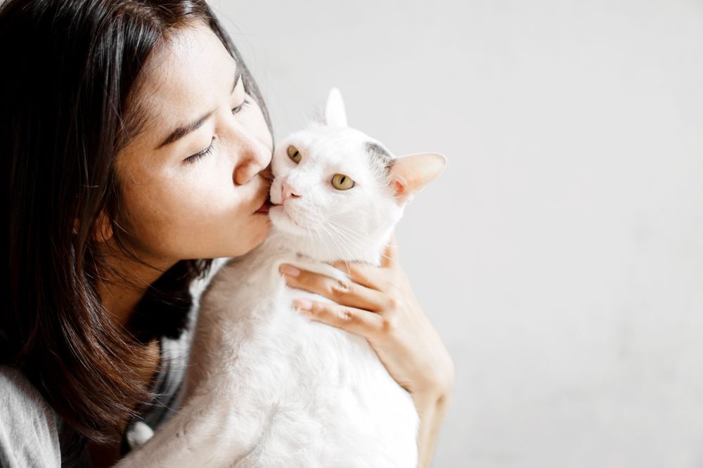 抱かれて安心する猫