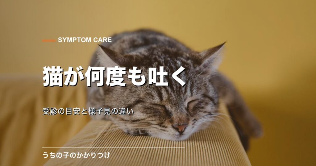 休む猫