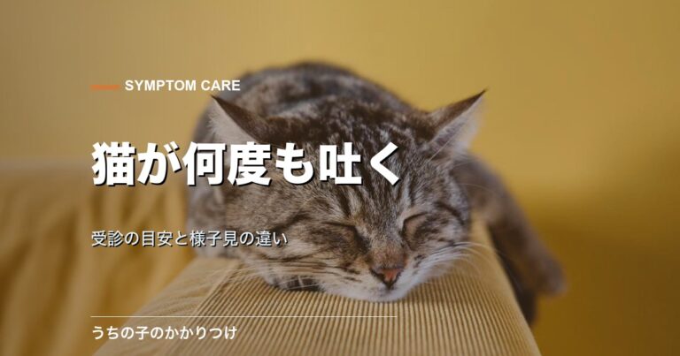 休む猫