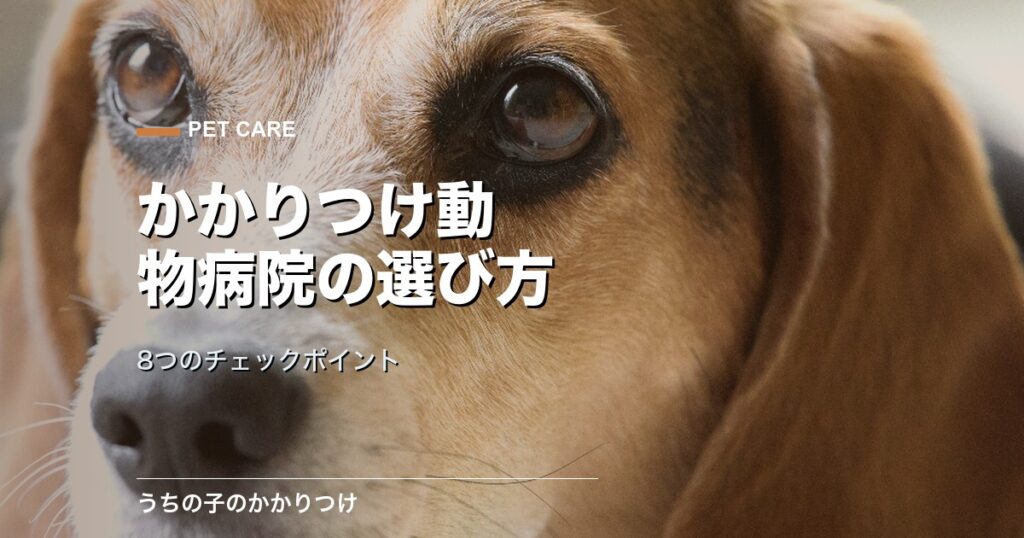 診察を受ける犬