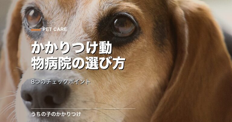 診察を受ける犬