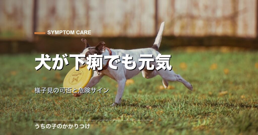 元気に走る犬