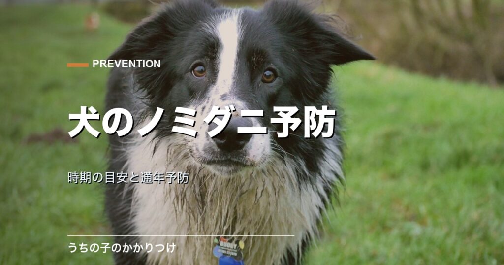 草の上を歩く犬