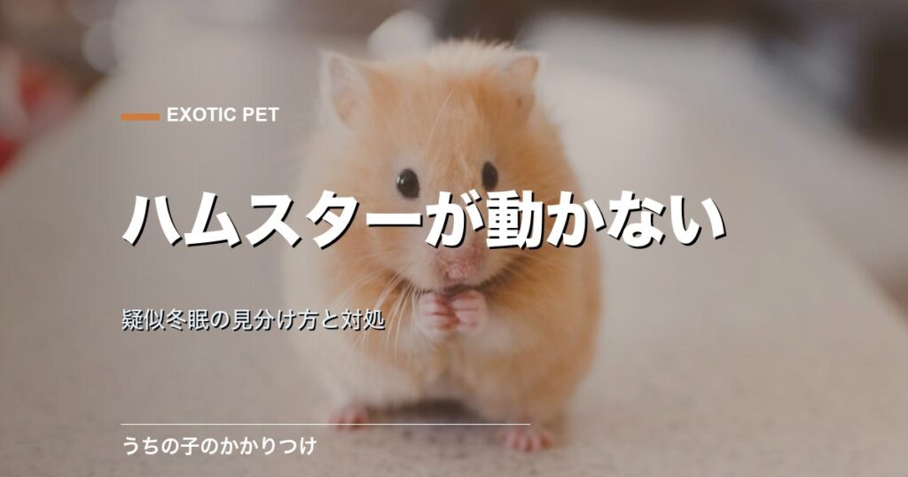 ハムスター