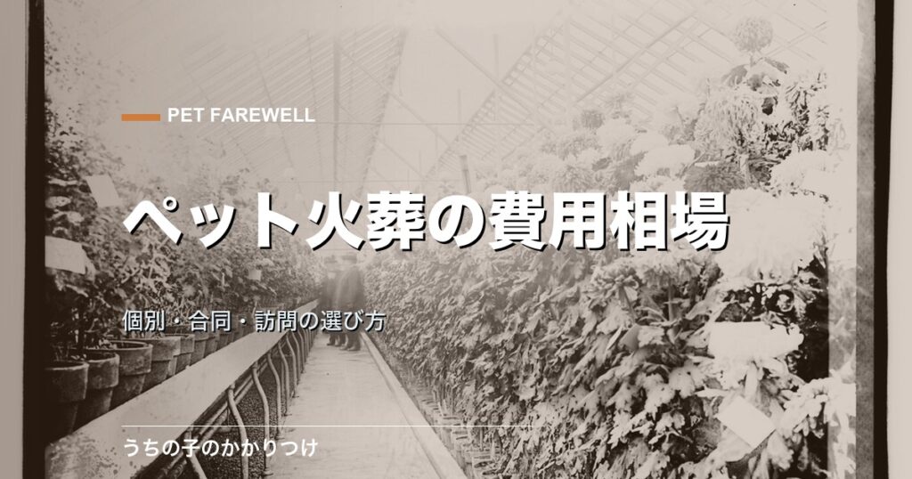 ペット火葬の費用相場｜個