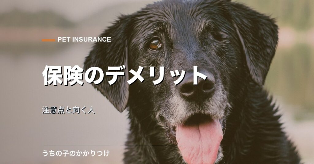 犬