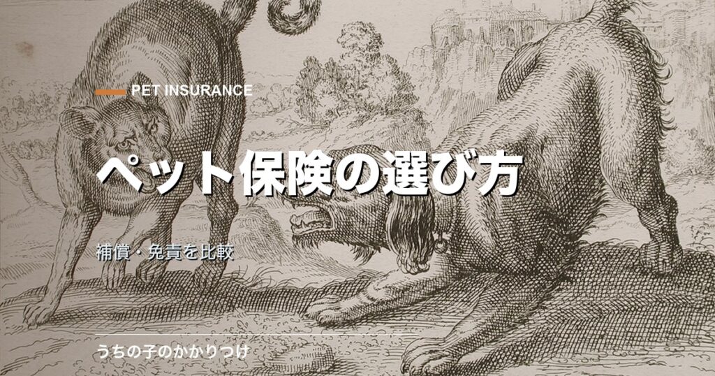 犬と猫