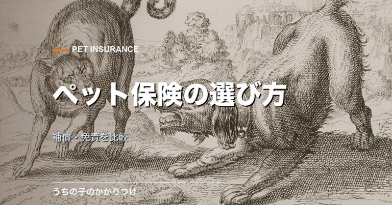 犬と猫