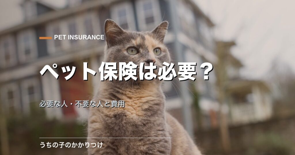 子犬と子猫