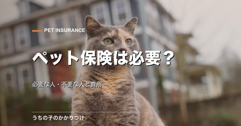 子犬と子猫