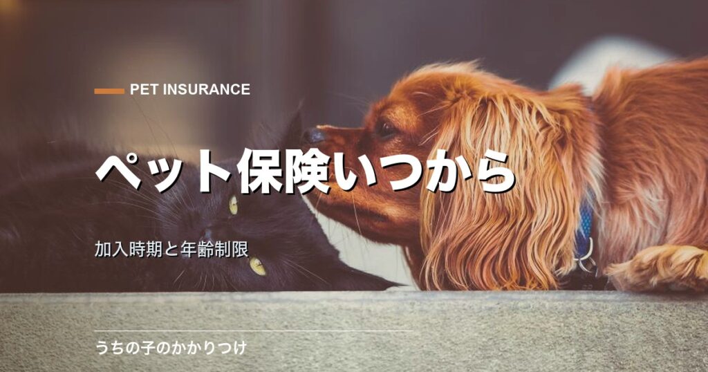 子犬と子猫