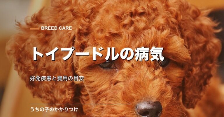 犬