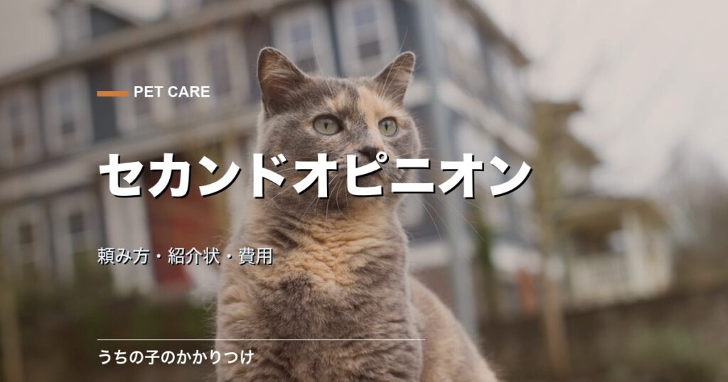 犬と猫