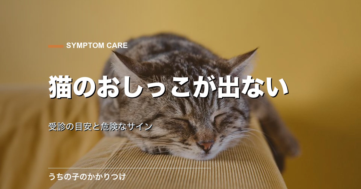 猫のおしっこが出ない時は緊急?受診の目安と危険なサインを解説