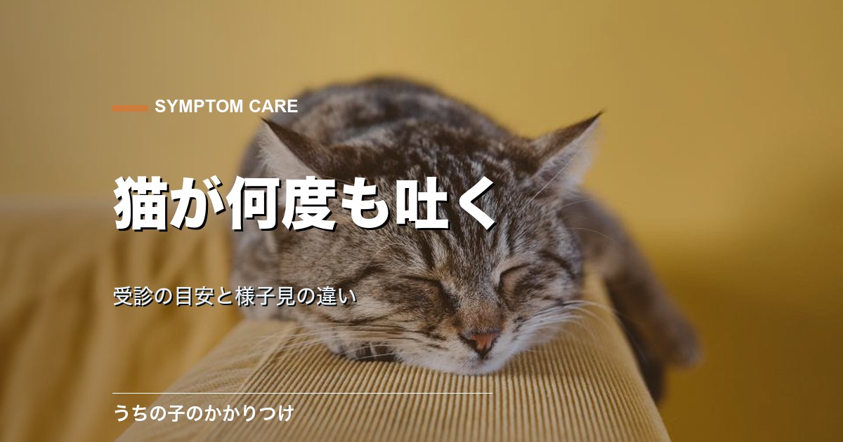 猫が何度も吐くのは危険?受診の目安と様子見してよい嘔吐の違い