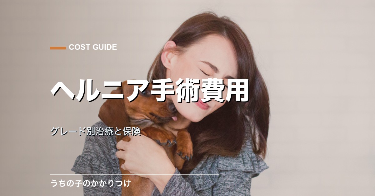 犬の椎間板ヘルニア手術費用の目安|グレード別治療と保険