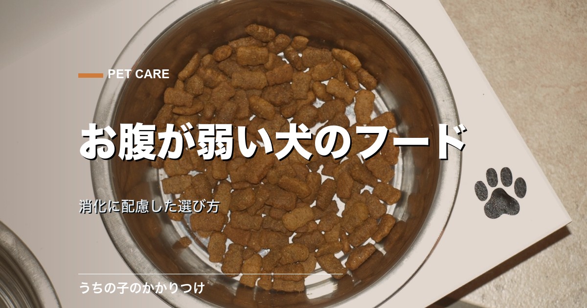 犬のお腹が弱い|消化に配慮したドッグフードの選び方と受診目安