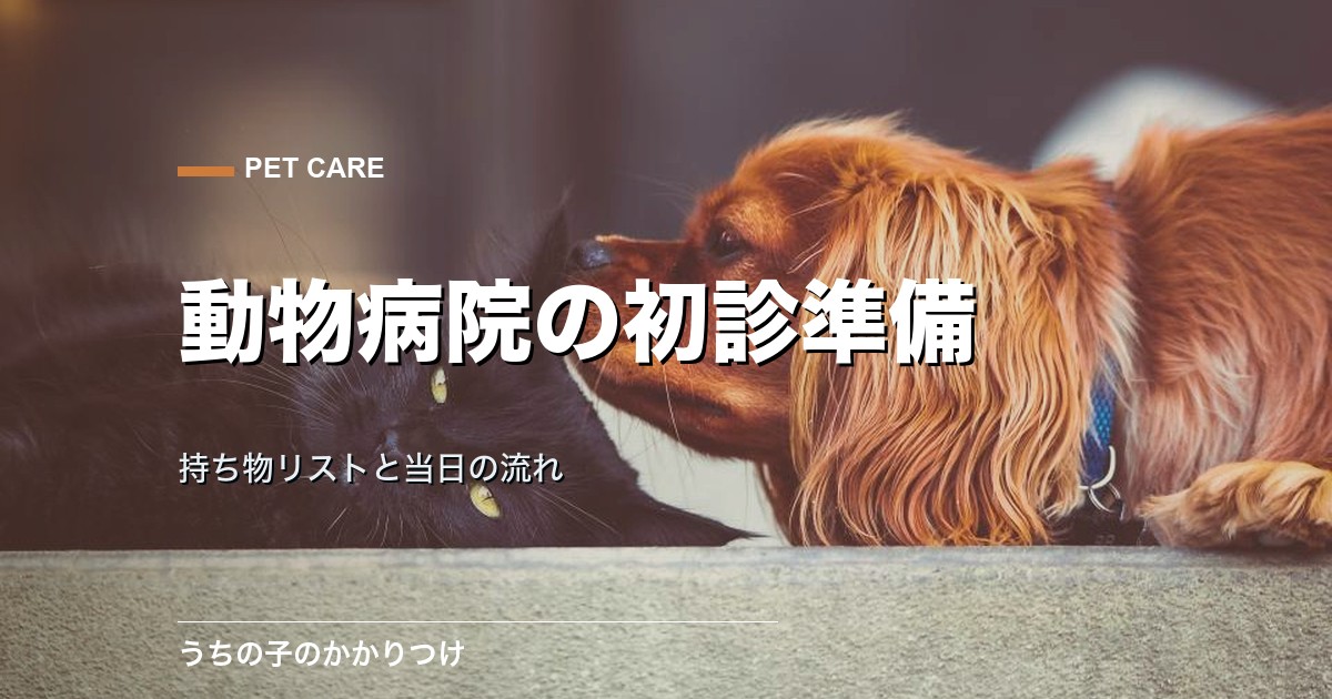 動物病院に初めて行くときの持ち物リスト|準備と当日の流れ