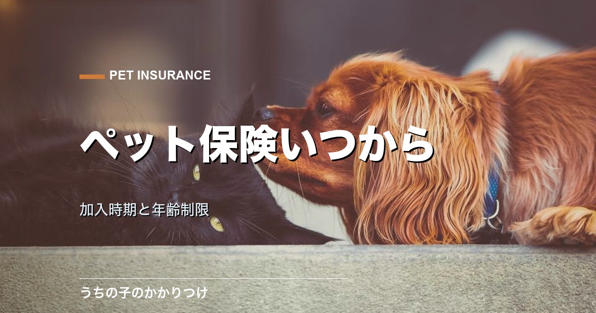 ペット保険はいつから入る?加入時期と年齢制限を解説