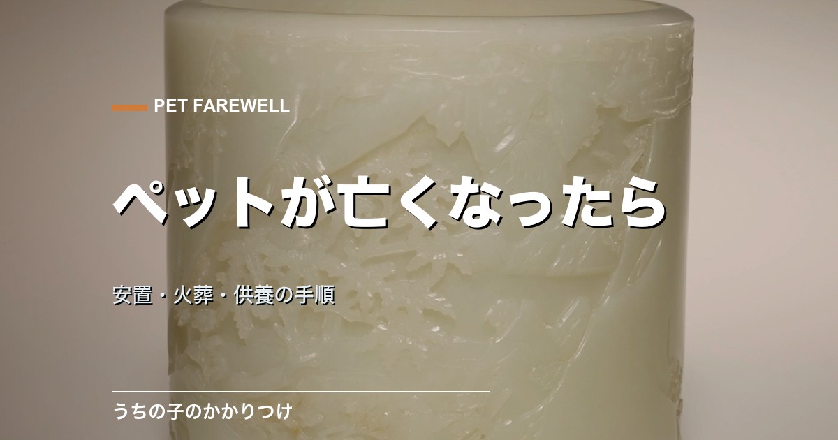 ペットが亡くなったらやること|安置・火葬・供養の手順